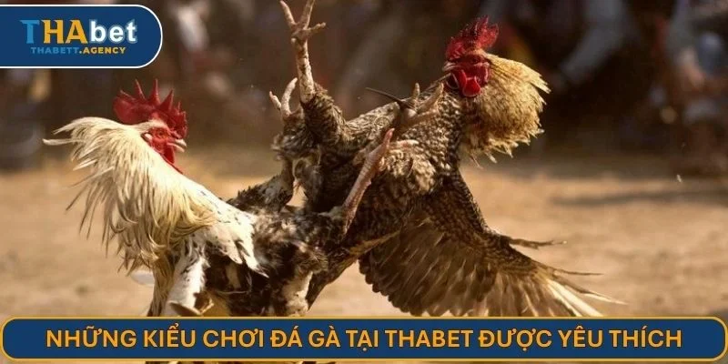 Những kiểu chơi đá gà tại THABET được yêu thích