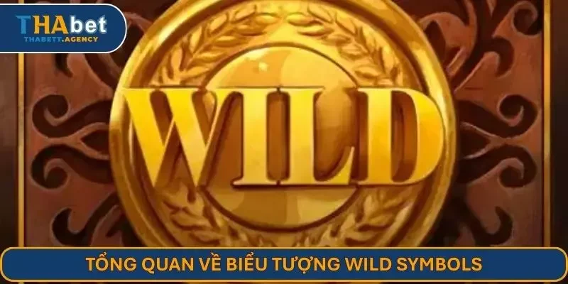 Tổng quan về biểu tượng wild symbols